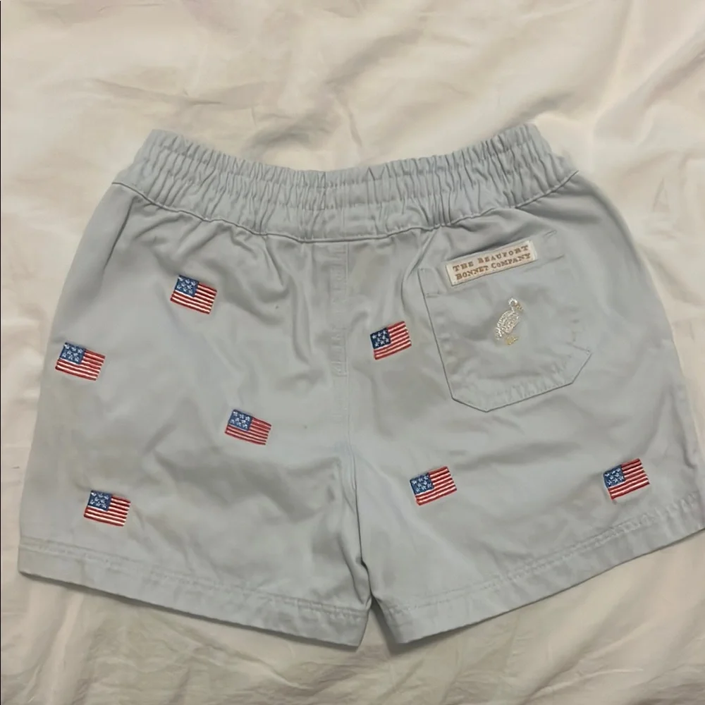 Light Blue Shorts with American Flag Embroidery - Picture 2 of 4